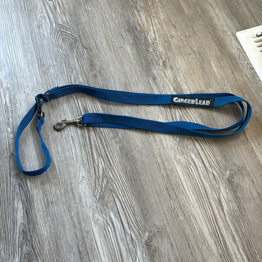 🌸Blue Dog harness attachment